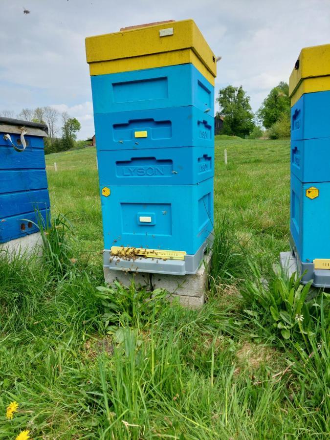 Hexagon Honey House+ Prywatna Plaza+Jezioro+ Stawy+ Gospodarstwo+ Pasieka Srokowo Екстер'єр фото